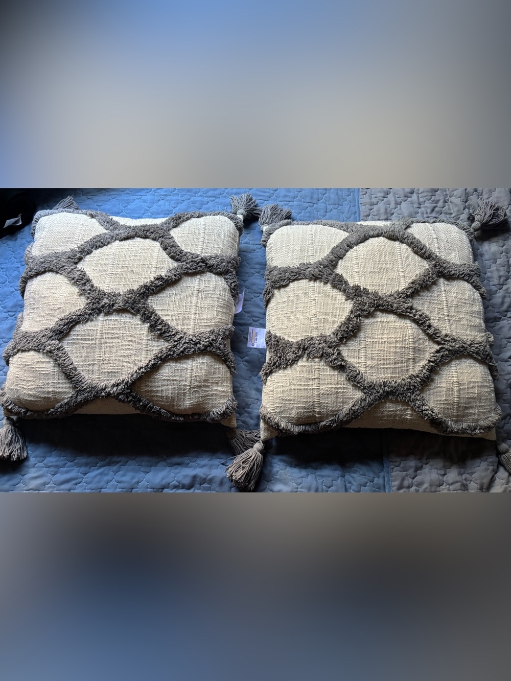 Neutral Cream and Gray Textured Tassel Throw Pillow Pair